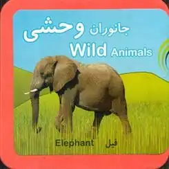 دانلود pdf کتاب جانوران وحشی مسعود مستقیم