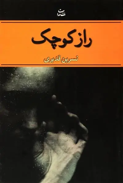 دانلود pdf کتاب راز کوچک نسرین قدیری