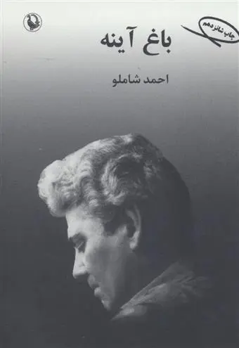 دانلود pdf کتاب باغ آینه احمد شاملو