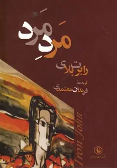 دانلود pdf کتاب مرد مرد رابرت بلای