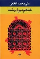 دانلود pdf کتاب شلغم میوه بهشته علی محمد افغانی