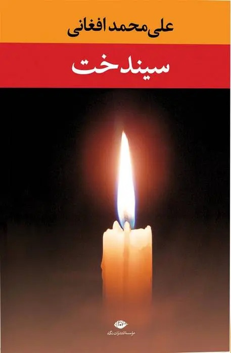 دانلود pdf کتاب سیندخت علی محمد افغانی