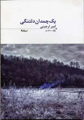 دانلود pdf کتاب 1 چمدان دلتنگی امیر ارجینی