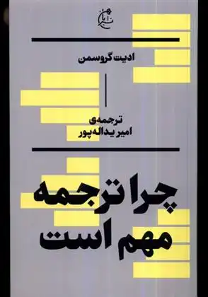 دانلود pdf کتاب چرا ترجمه مهم است ادیت گروسمن