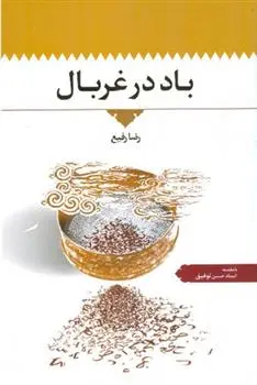 دانلود pdf کتاب باد در غربال رضا رفیع