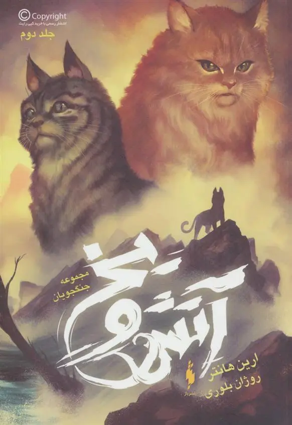 دانلود pdf کتاب آتش و یخ ارین هانتر