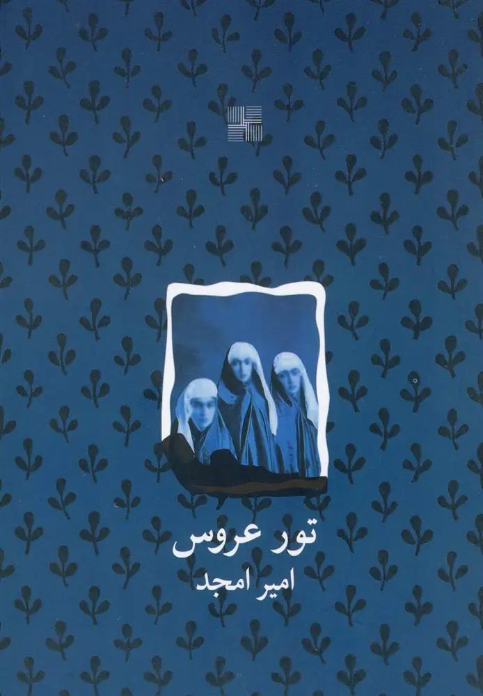 دانلود pdf کتاب تور عروس امیر امجد