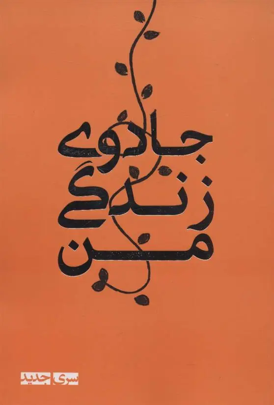 دانلود pdf کتاب جادوی زندگی من حسین قاسم زاده