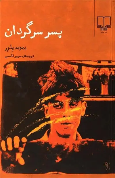 دانلود pdf کتاب پسر سرگردان دیوید پلزر