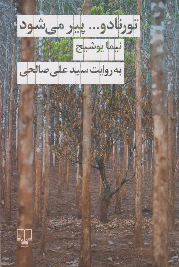 دانلود pdf کتاب تورنادو پیر می شود سید علی صالحی