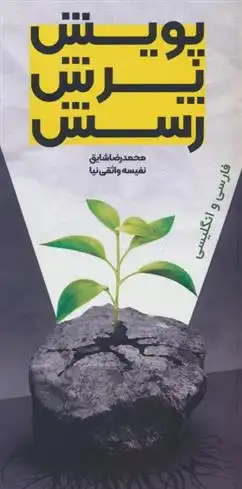 دانلود pdf کتاب پویش،پرش،رسش (2زبانه) نفیسه واثقی نیا