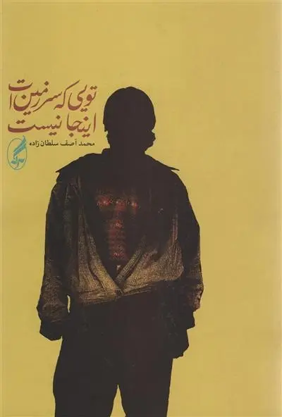 دانلود pdf کتاب تویی که سرزمین ات اینجا نیست محمدآصف سلطان زاده
