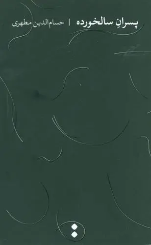 دانلود pdf کتاب پسران سالخورده حسام الدین مطهری