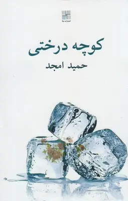 خرید و قیمت کتاب کوچه درختی اثر حمید امجد