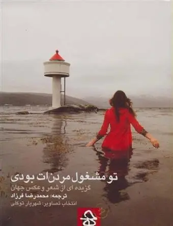 دانلود pdf کتاب تو مشغول مردن ات بودی مجموعه ی نویسندگان