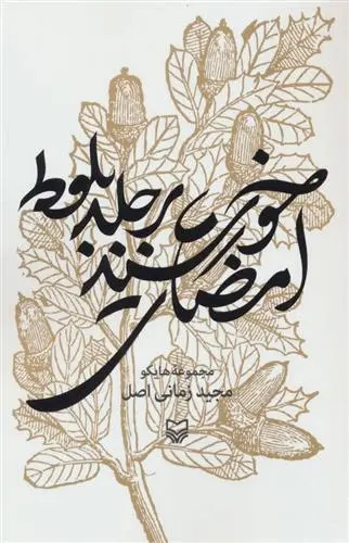 دانلود pdf کتاب امضای خورشید بر جلد بلوط مجید زمانی اصل