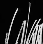 دانلود pdf کتاب سفیدبرفی عباس کیارستمی