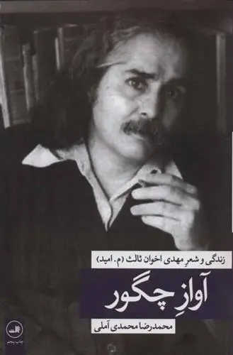 دانلود pdf کتاب آواز چگور محمدرضا محمدی آملی