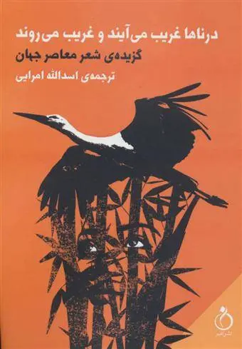 دانلود pdf کتاب درناها غریب می آیند و غریب می روند مجموعه ی نویسندگان