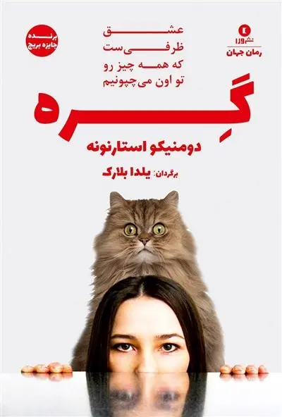 دانلود pdf کتاب گره دومنیکو استارنونه