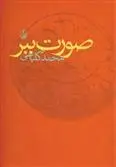 دانلود pdf کتاب صورت ببر محمد کلباسی