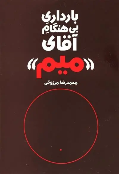 دانلود pdf کتاب بارداری بی هنگام آقای میم محمدرضا مرزوقی