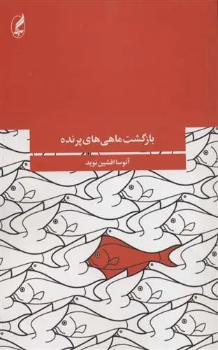 دانلود pdf کتاب بازگشت ماهی های پرنده آتوسا افشین نوید