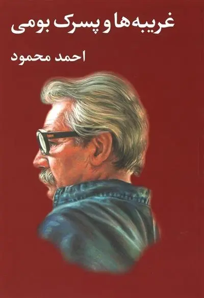 دانلود pdf کتاب غریبه ها و پسرک بومی احمد محمود