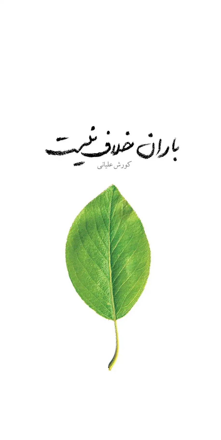 دانلود pdf کتاب باران خلاف نیست کورش علیانی