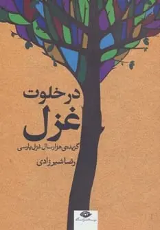دانلود pdf کتاب در خلوت غزل رضا شیرزادی