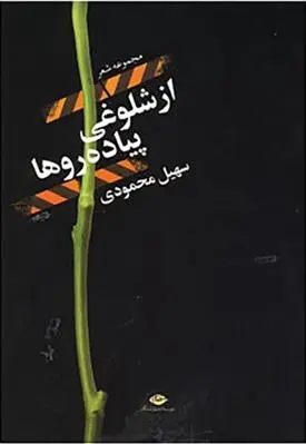 دانلود pdf کتاب از شلوغی پیاده رو ها سهیل محمودی