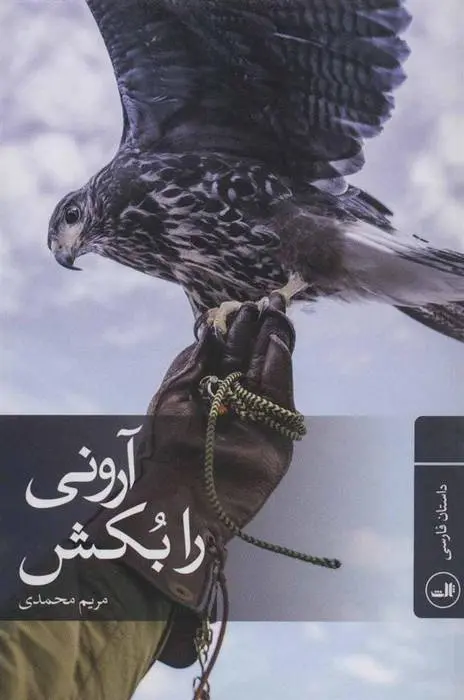 دانلود pdf کتاب آرونی را بکش مریم محمدی