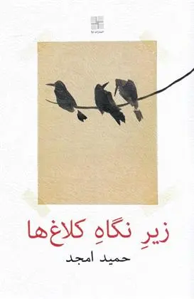 دانلود pdf کتاب زیر نگاه کلاغ ها حمید امجد