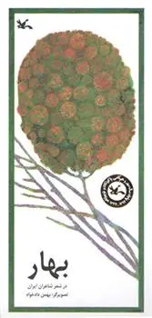 دانلود pdf کتاب بهار بهمن دادخواه