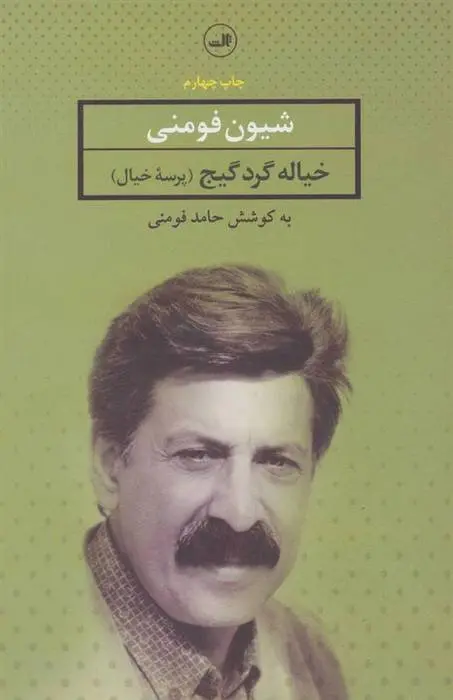 دانلود pdf کتاب خیاله گرده گیج شیون فومنی