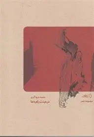 دانلود pdf کتاب در هیئت راهبه ها محمد درودگری