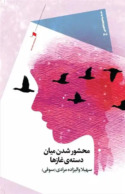 دانلود pdf کتاب محشور شدن میان دسته ی غازها سهیلا والی زاده مرادی