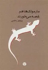 دانلود pdf کتاب مارمولک ها هم غصه می خورند پرویز رجبی