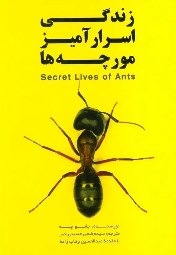 دانلود pdf کتاب زندگی اسرار آمیز مورچه ها جائو چه
