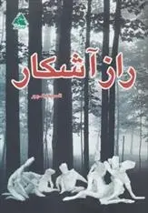 دانلود pdf کتاب راز آشکار افسانه نیک پور