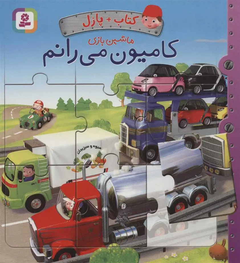خرید و قیمت کتاب کامیون می رانم اثر امیلی بومون