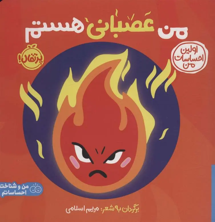 دانلود pdf کتاب من عصبانی هستم مریم اسلامی