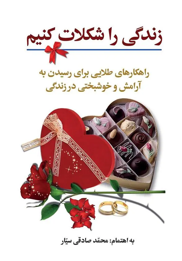 دانلود pdf کتاب زندگی را شکلات کنیم محمد صادقی سیار