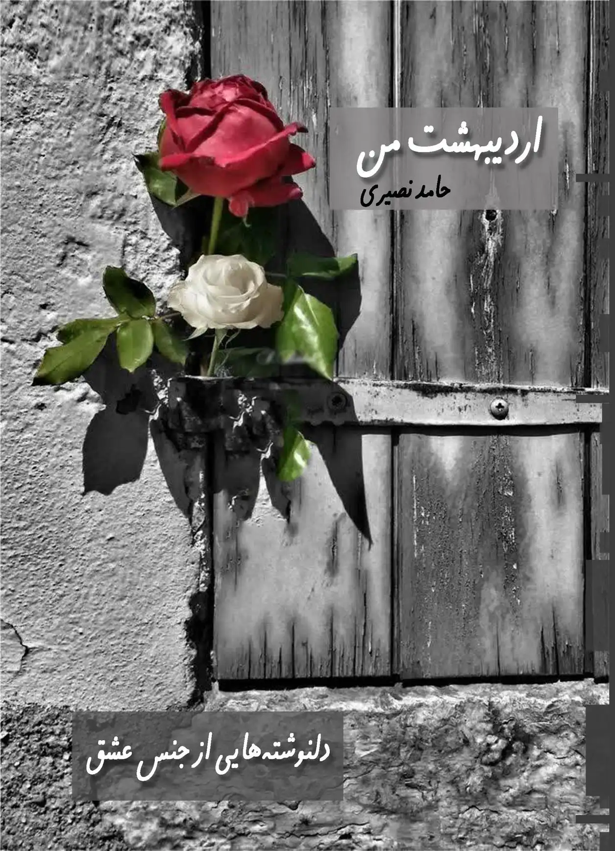 دانلود pdf کتاب اردیبهشت من حامد نصیری