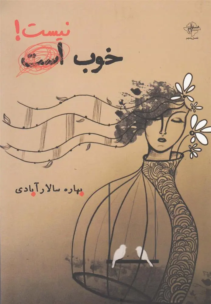 دانلود pdf کتاب خوب نیست بهاره سالارآبادی