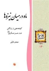 دانلود pdf کتاب ماه در میان نیزه ها مهدی قزلی