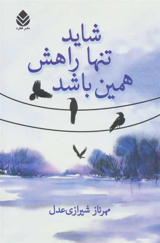 دانلود pdf کتاب شاید تنها راهش همین باشد مهرناز شیرازی عدل