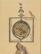 دانلود pdf کتاب طوطی و بازرگان مرجان فولادوند