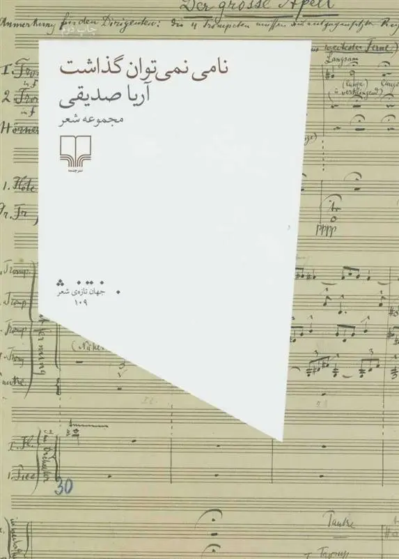 دانلود pdf کتاب نامی نمی توان گذاشت آریا صدیقی