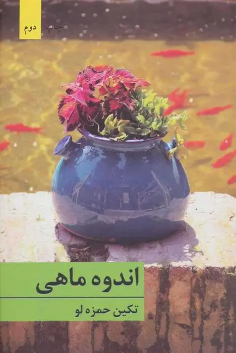 دانلود pdf کتاب اندوه ماهی تکین حمزه لو